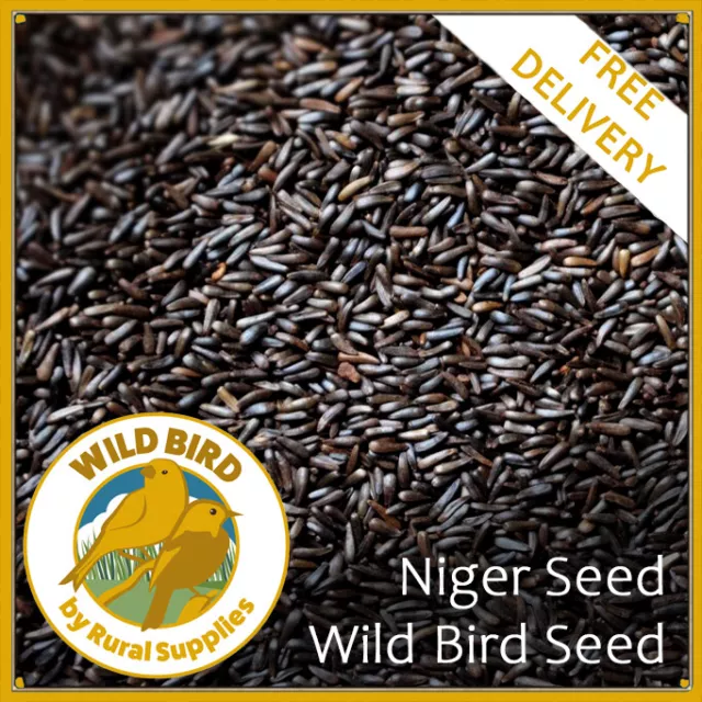 25KG Nyger Seed Premium Wild Bird Feeding Nyjer Nijer Niger