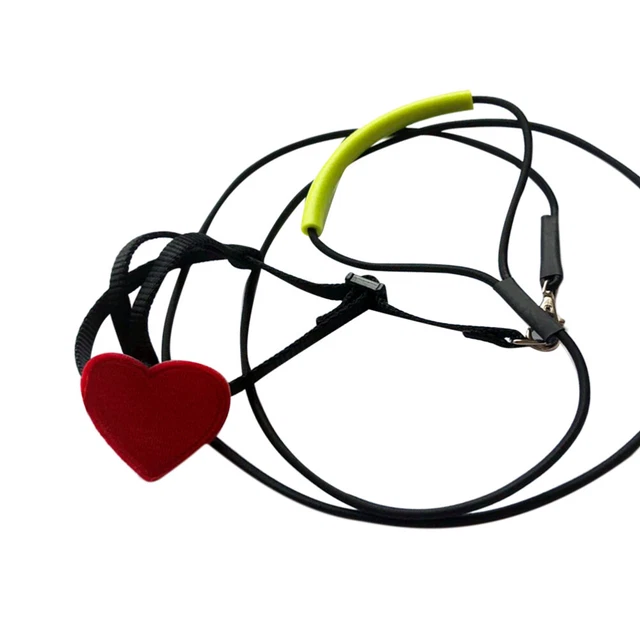 Accesorios Para Entrenamiento Aves Kits Lino Ave Mascotas Cuerdas Cinturón