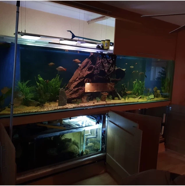 large aquarium fish tank used 2