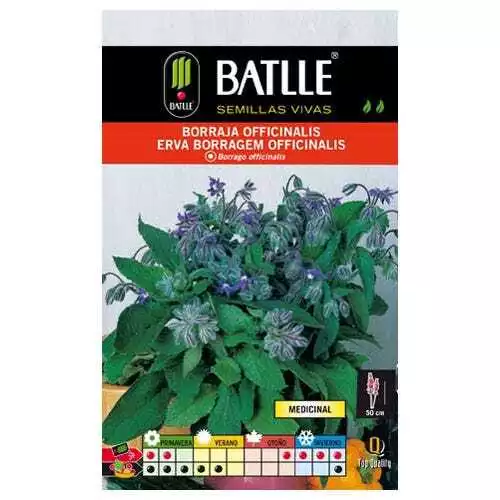 Semillas aromáticas de Battle - Borraja Officinalis (6g)