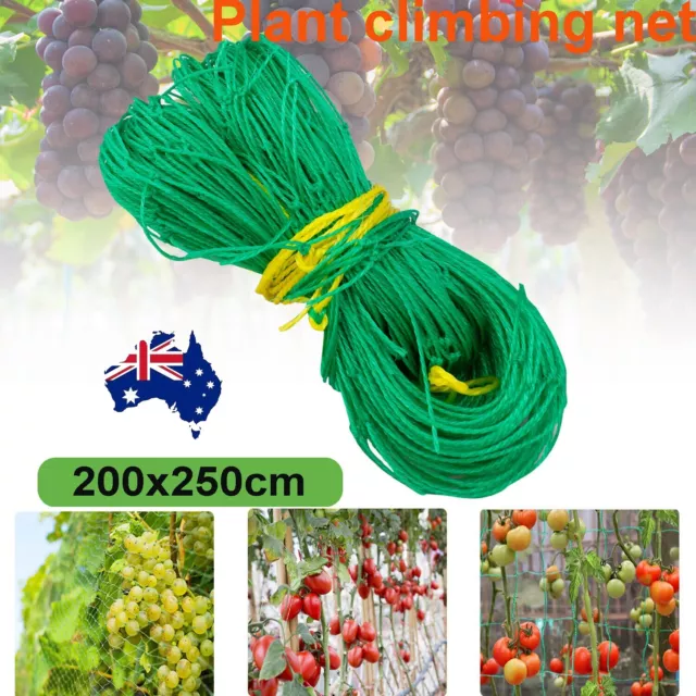 Garden Plant Climbing Net Trellis Netting Fence Mesh Support Fruits Vine Veggie