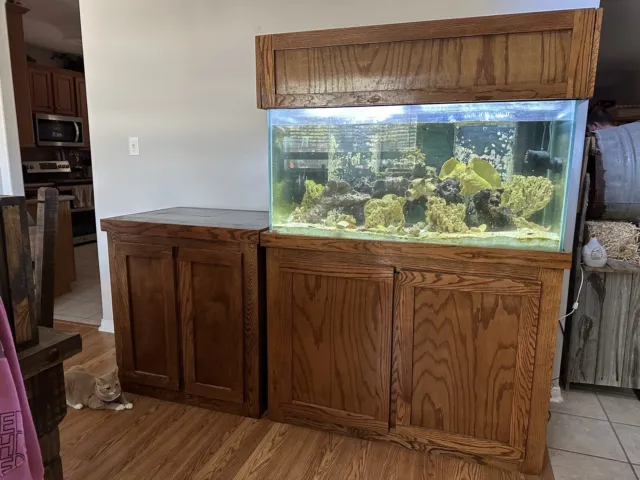 125 gallon aquarium With Stand And Accessories.
