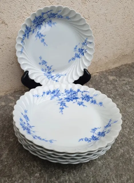 6 assiettes calotte porcelaine de Limoges HAVILAND, modèle torsade fleurs bleues