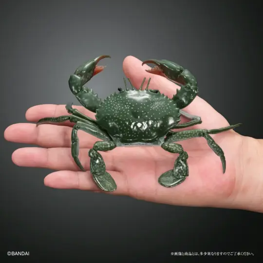 Black Crab Mud Crab PVC Action Figure model with joints