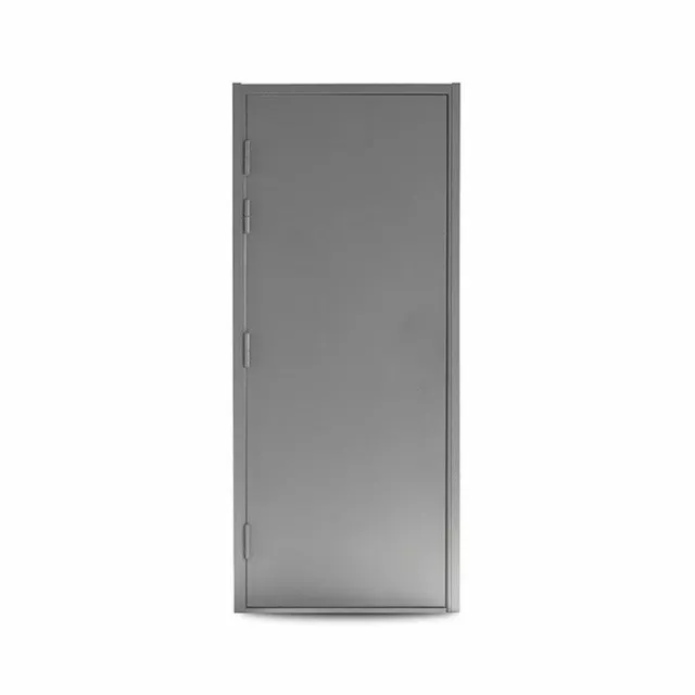 Blank Steel Door | Customize Your Own | Heavy Duty  🆓Free Delivery🆓