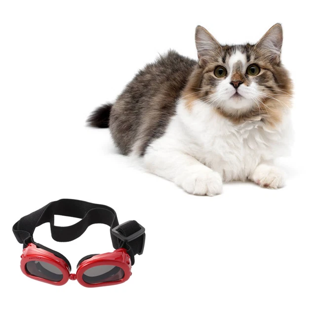 Dog Glasses Folding Sunglasses Transparent Glasses Eye