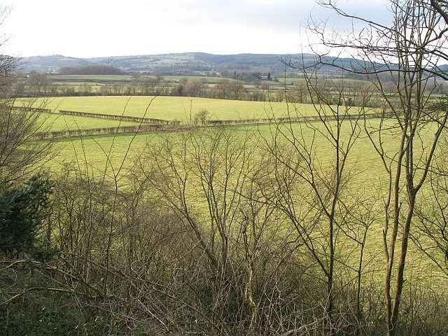 Photo 6x4 View over  the flood plain of a vanished river Ashford Carbonel c2009
