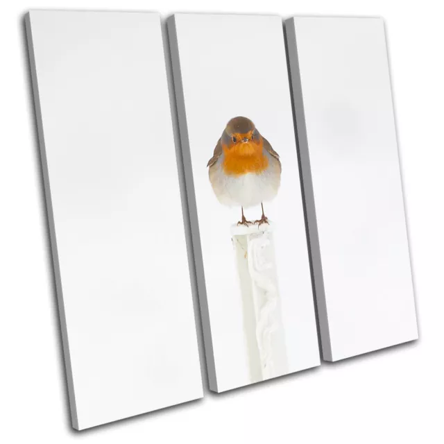 Robin Red Breast Animals TREBLE CANVAS WALL ART Picture Print VA