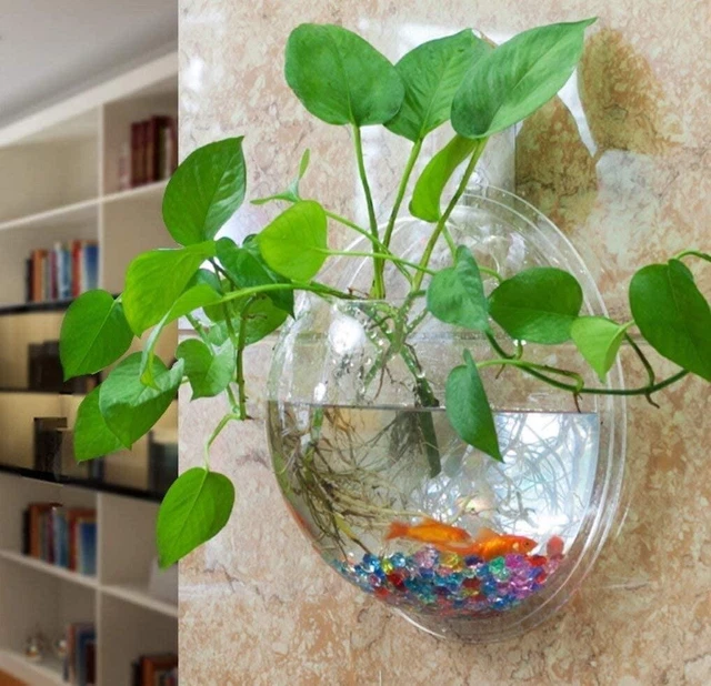 Creative Acrylic Hanging Wall Mounted Fish Tank Hanging Bowl Aquarium decoration 3