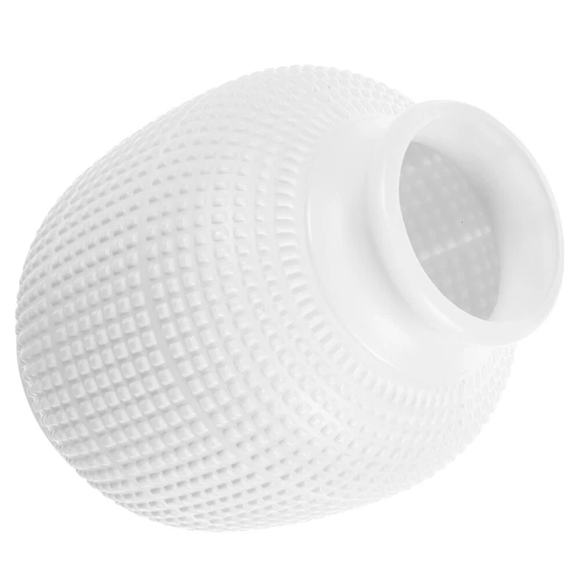 Vase arrangeant des fleurs Hydroponie