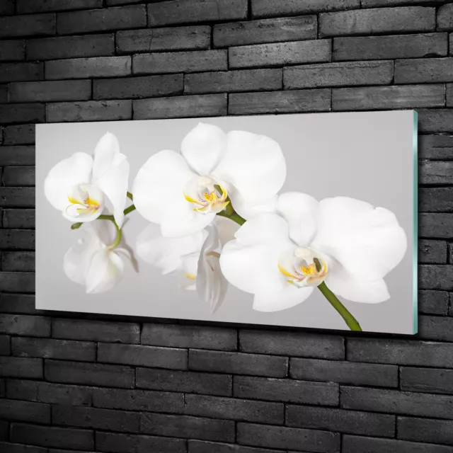 Wandbild aus Plexiglas® Druck auf Acryl 100x50 Blumen & Pflanzen Orchidee