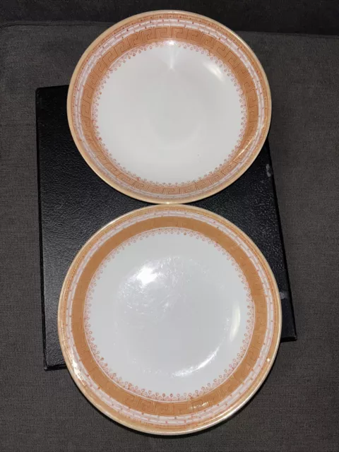 Vintage Set of 2 Chinese Export 8” Porcelain Dishes