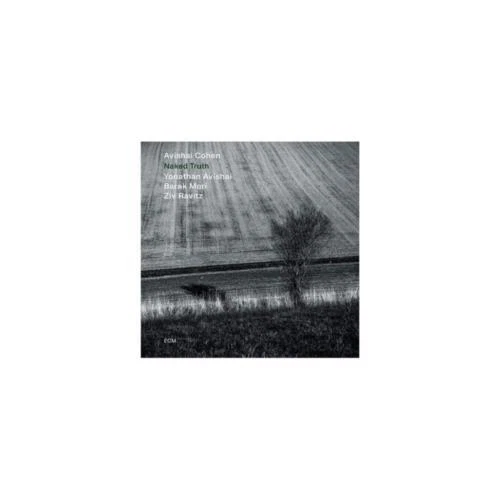 独LP Avishai E. Cohen, Yonathan Avi Naked Truth ECM2737 ECM Records /00260 Ashes to Gold - ECM Records