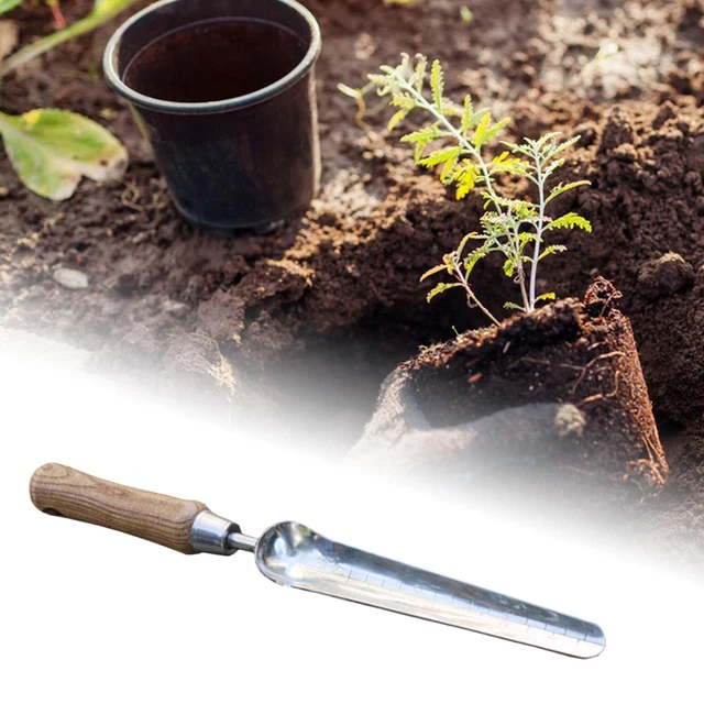 Pelle à Légumes/Fruits Avec Manche En Bois - Pour Pommes De Terre, Fruits - Couleur Verte/Grise - Marque XL-Tools