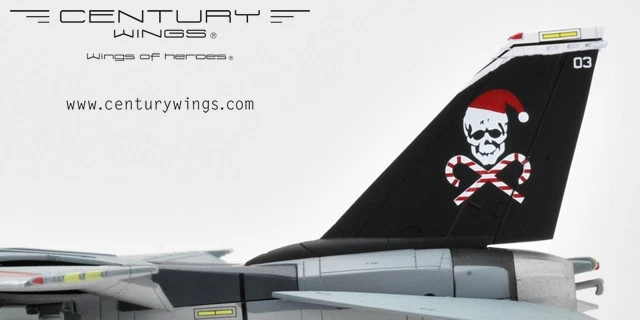 Century Wings 1/72 F-14B ジョリーロジャース センチュリーウイングス