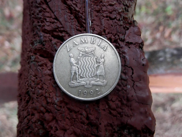1992 Zambia Ten Kwacha Rino Coin Old Collectible Africian Coins Money Moneda 10