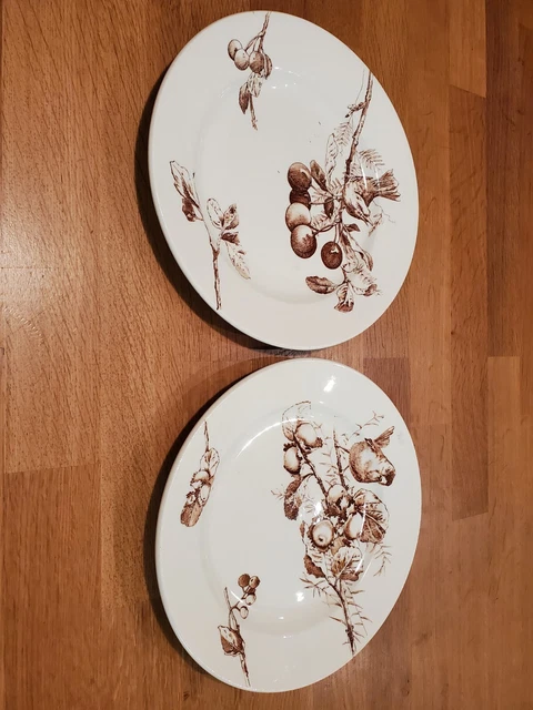 Assiettes A La Ménagère Terre de Fer Paris