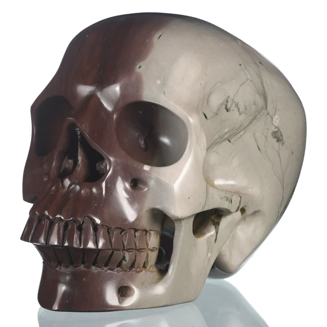 Cuadro de jaspe humano de 6,97" Natural America Picture Metaphycal Heali