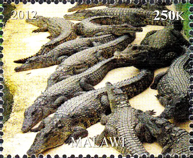 Malawi postfrisch MNH Tier Wildtier Krokodil Alligator Reptil Raubtier Fauna /31