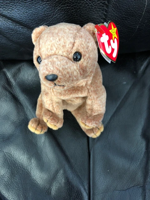 Pecan beanie baby errors deals
