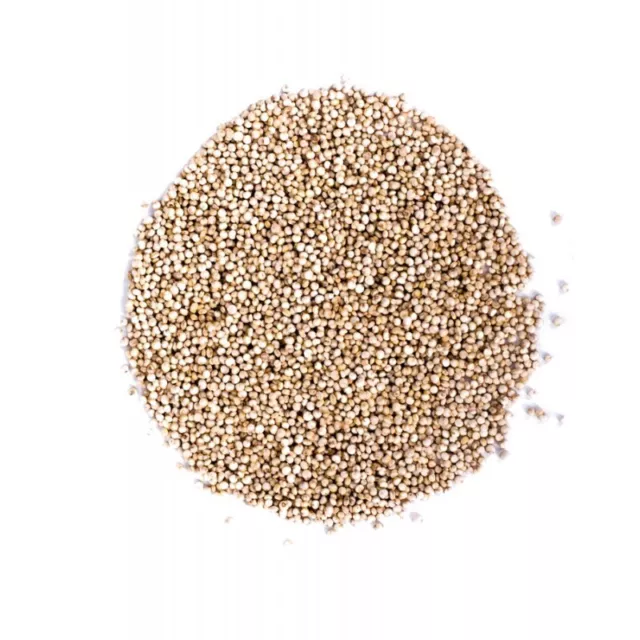 Organic White Quinoa 50G-10KG