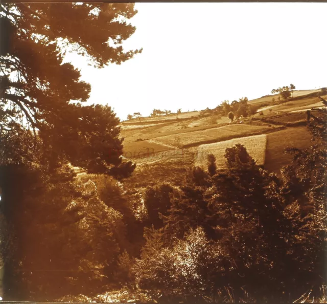 France Vallée Paysage Photo Stereo PL58L10n14 Plaque de verre c1920