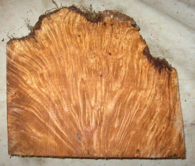 Bloque De Arce Burl Borde Vivo Torneando Artesanía Carpintería Aprox 10.25X9.5X2 Pulgadas