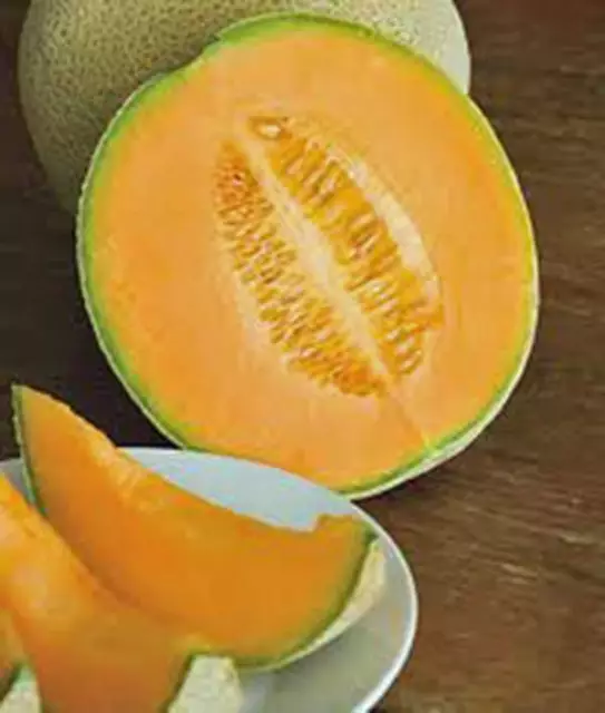 Cantaloupe Seed​, Hales Best Jumbo, Heirloom,  Non Gmo, 100 Seeds, Melon