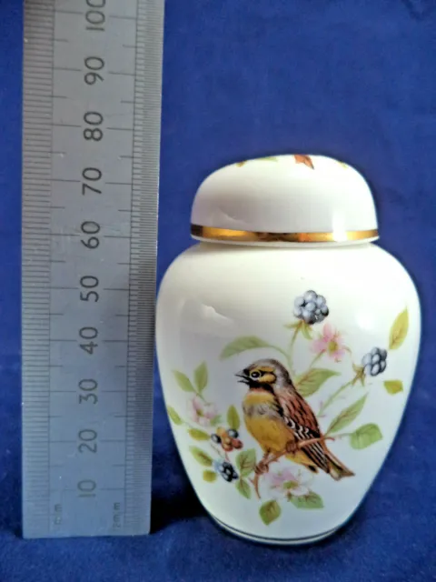 Miniatur Porzellan Urne & Deckel Gelbhammer Vögel Brombeeren 'Woodland China Derby' 12