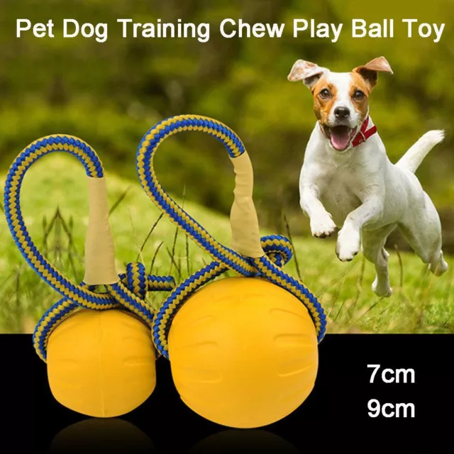 animaux de compagnie Chew Play Fetch Jouet de bouche Balle de dressage de chien