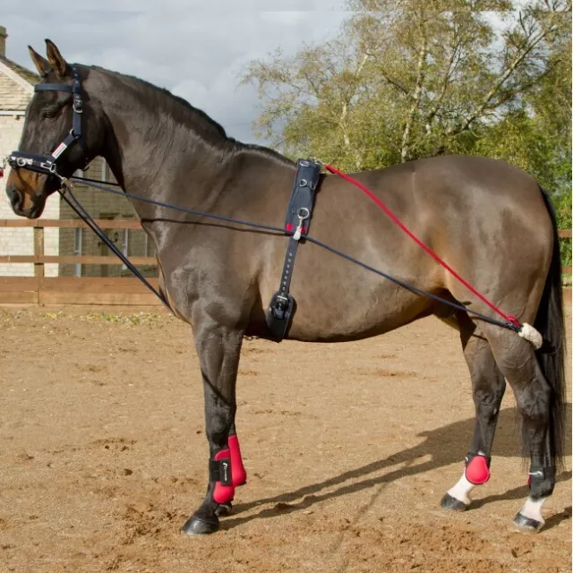 John Whitaker Training System Aid With Roller Lunging System | Adjustable