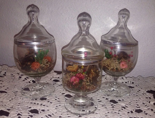 Clear Glass Apothecary 3 Jars w/Lids Flowers Drug Store 1959 Naturals Inc