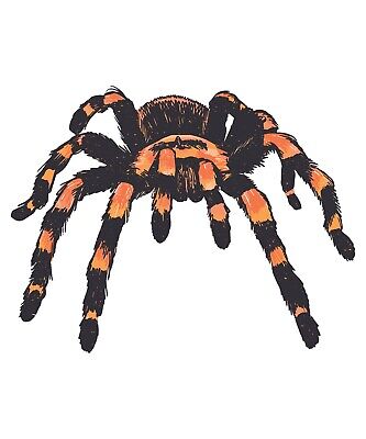 3” Tarantula Sticker Spider Large Hairy Pet Scary Horror Movie Arachnophobia