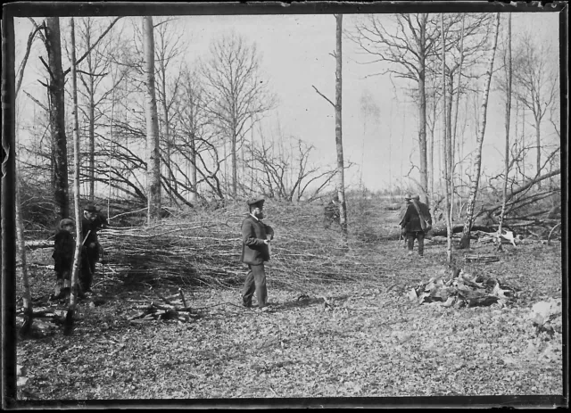 Plaque verre photo ancienne négatif noir et blanc 6x9 cm chasse glass plate