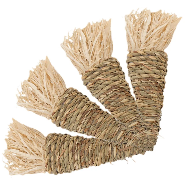 4 pz coniglio porcellino d'India criceto coniglio coniglio giocattoli coniglio giocattoli prelibatezze molare coniglio