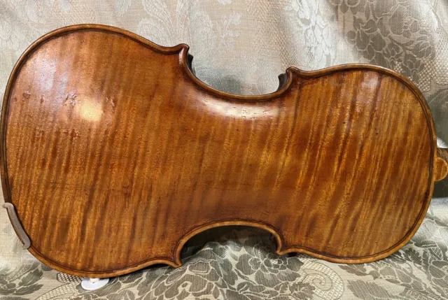 Fine old violin  Ferdinandus Gagliano 1792