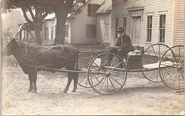 RPPC Man Posing on Bull Wagon in Front of Store Building early 1900s