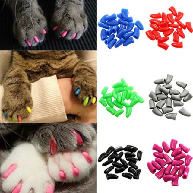 Capuchons D'ongles De Chat En Silicone Embouts Colorés Couvre-Pattes Souples F