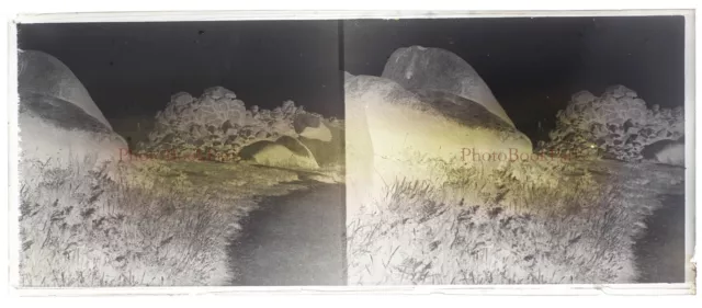 Vintage Amateur Glass Plate Landscape Photo C1930 NEGATIVE Stereo PL28L8n 2