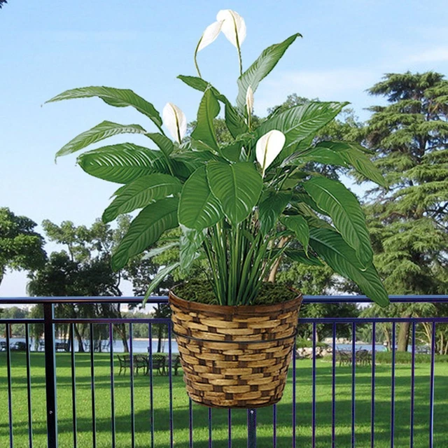 Sill de fenêtre Balcon Pot à fleurs suspendu, Pot de planteur, Garde-corps 11