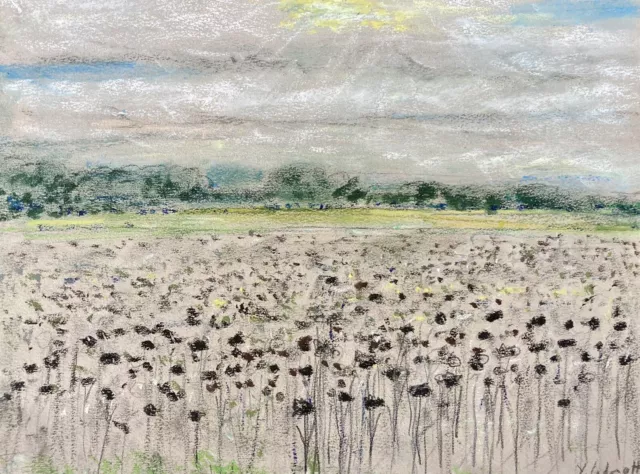 Peinture Pastel Champ De Tournesols Au Perrenot Haute Saône Coté Akoun