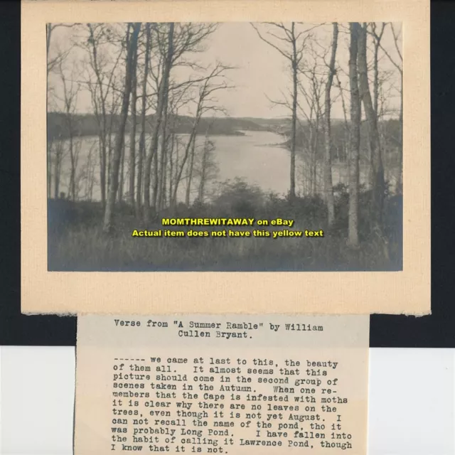 1920s Photo Massachusetts Cape Cod Lawrence Long Pond