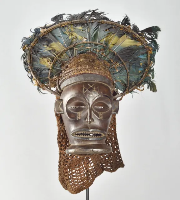 Beau masque Cihongo Tshokwe Chokwe Angola plumes African Tribal art  1745