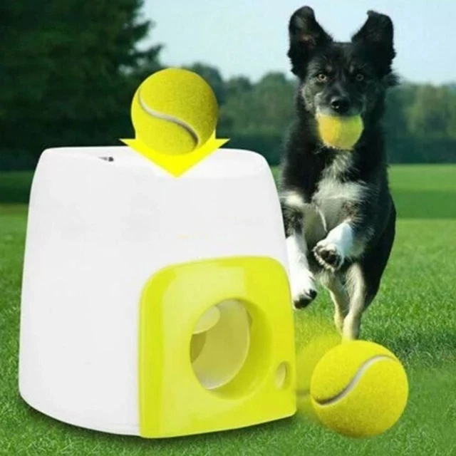 Launcher Throwing Mmachine Pet Ball Thrower Smart Feeder Food Reward Machine