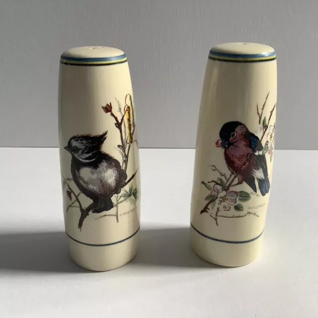Vintage Brixham Pottery cruet set bird design cream background with stoppers