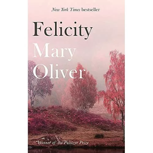 Felicity - Taschenbuch / Softback NEU Oliver, Mary 05.04.2018