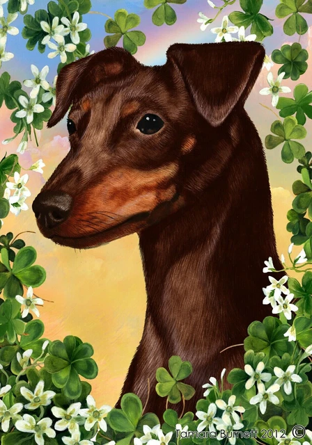 Clover House Flag - Uncropped Chocolate and Tan Miniature Pinscher