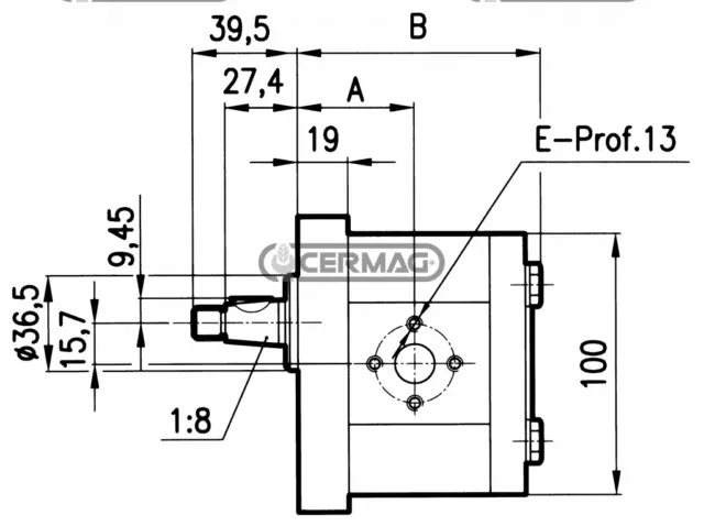 Pompa Idraulica Gruppo 2 Oleodinamica Rotazione Sinistra Per Trattore Fiat 2
