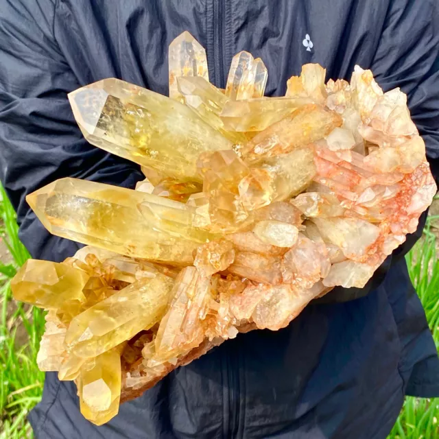 13LB Natural Citrine cluster mineral specimen quartz crystal healing