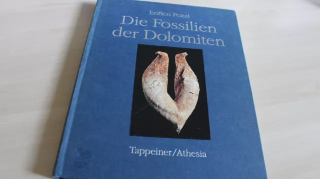 Die Fossilien der Dolomiten - mit vielen Fundstellen